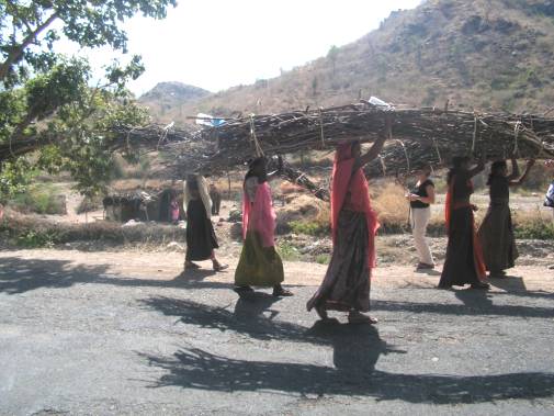 Porteuses de bois sur la route entre Ranakpur et Udaipur.