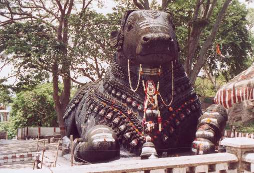 Statue du Nandi